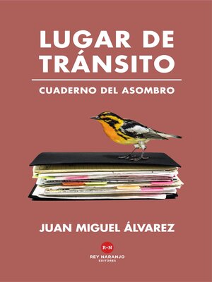 cover image of Lugar de tránsito